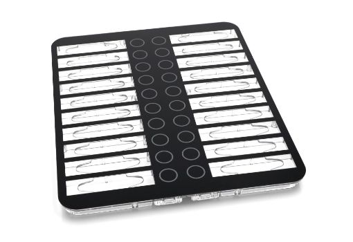 Slika PANEL ZA IZBOR PICA, TASTATURA NECTA 255834