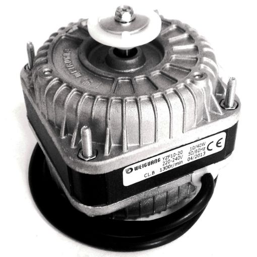 Slika ELEKTROMOTOR 10W WEIGUANG